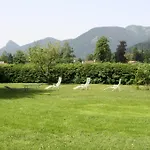 Garni Sonnenhof Hotel Rottach-Egern